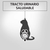 Alimento Humedo Para Gatos Sabor A Salmón  Purina Pro Plan x 85 Gr