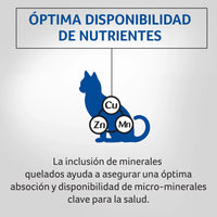 Comida Para Gatos Adultos 7+ Purina  Pro Plan X 3 KG