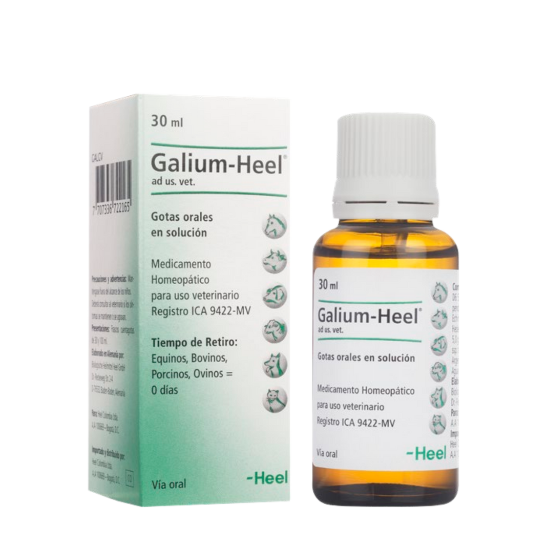 GALIUM AD US VET GOTAS ORALES - Heel