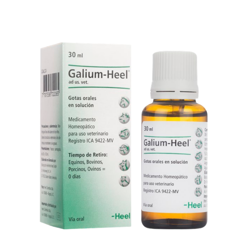 GALIUM AD US VET GOTAS ORALES - Heel