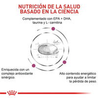 Comida Para Perro Royal Canin Vhn Cardiac 2 Kg