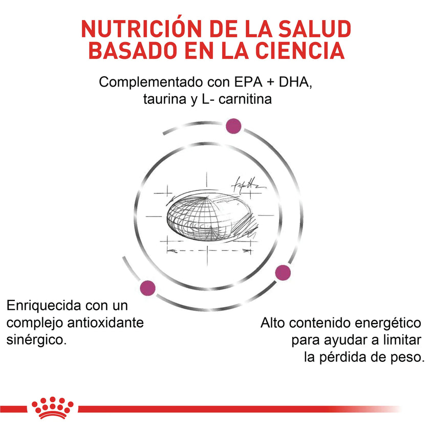 Comida Para Perro Royal Canin Vhn Cardiac 2 Kg