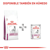 Comida Para Perro Royal Canin Vhn Cardiac 2 Kg