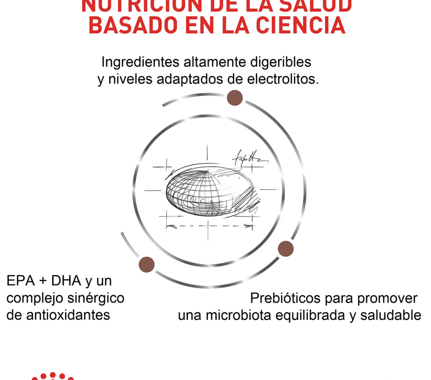 Alimento Royal Canin Vhn Gastrointestinal Moderate Calorie Felino 2Kg