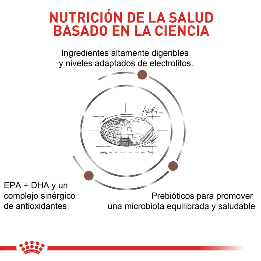 Alimento Royal Canin Vhn Gastrointestinal Moderate Calorie Felino 2Kg
