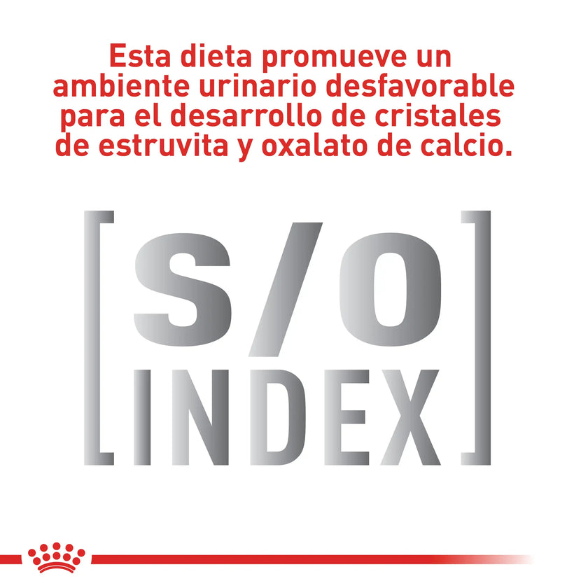 Alimento Royal Canin Vhn Gastrointestinal Moderate Calorie Felino 2Kg