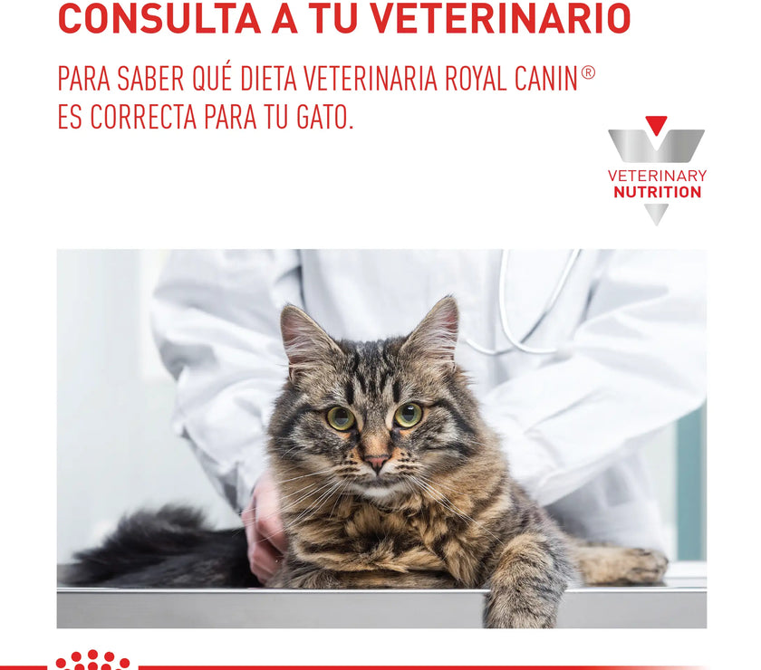 Alimento Royal Canin Vhn Gastrointestinal Moderate Calorie Felino 2Kg