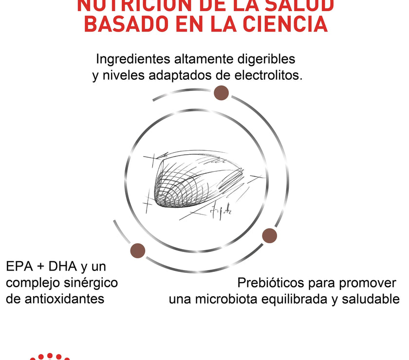 Alimento Royal Canin Vhn Gastrointestinal Felino 2 Kg