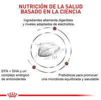 Alimento Royal Canin Vhn Gastrointestinal Felino 2 Kg