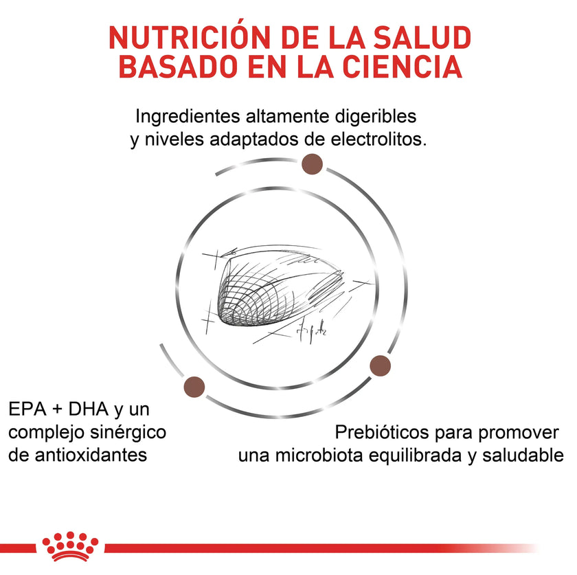 Alimento Royal Canin Vhn Gastrointestinal Felino 2 Kg