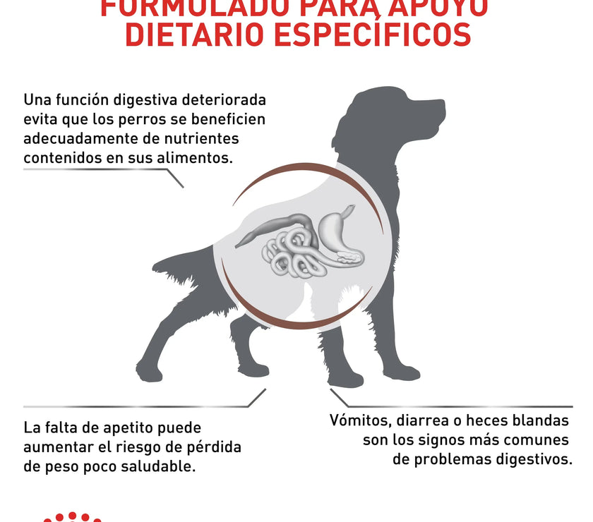 Alimento Royal Canin Vhn Gastrointestinal Canino