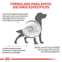 Alimento Royal Canin Vhn Gastrointestinal Canino