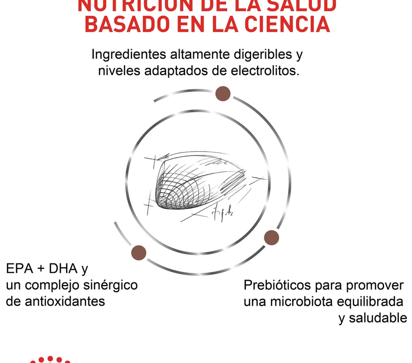 Alimento Royal Canin Vhn Gastrointestinal Canino