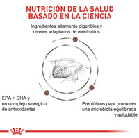 Alimento Royal Canin Vhn Gastrointestinal Canino