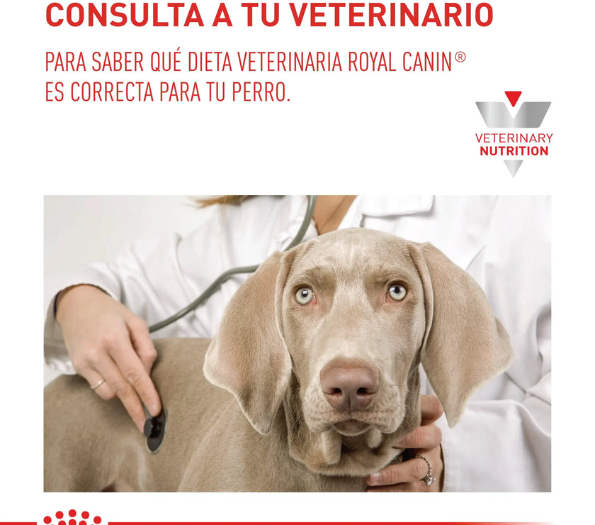Alimento Royal Canin Vhn Gastrointestinal Canino