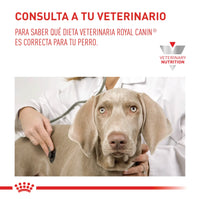 Alimento Royal Canin Vhn Gastrointestinal Canino