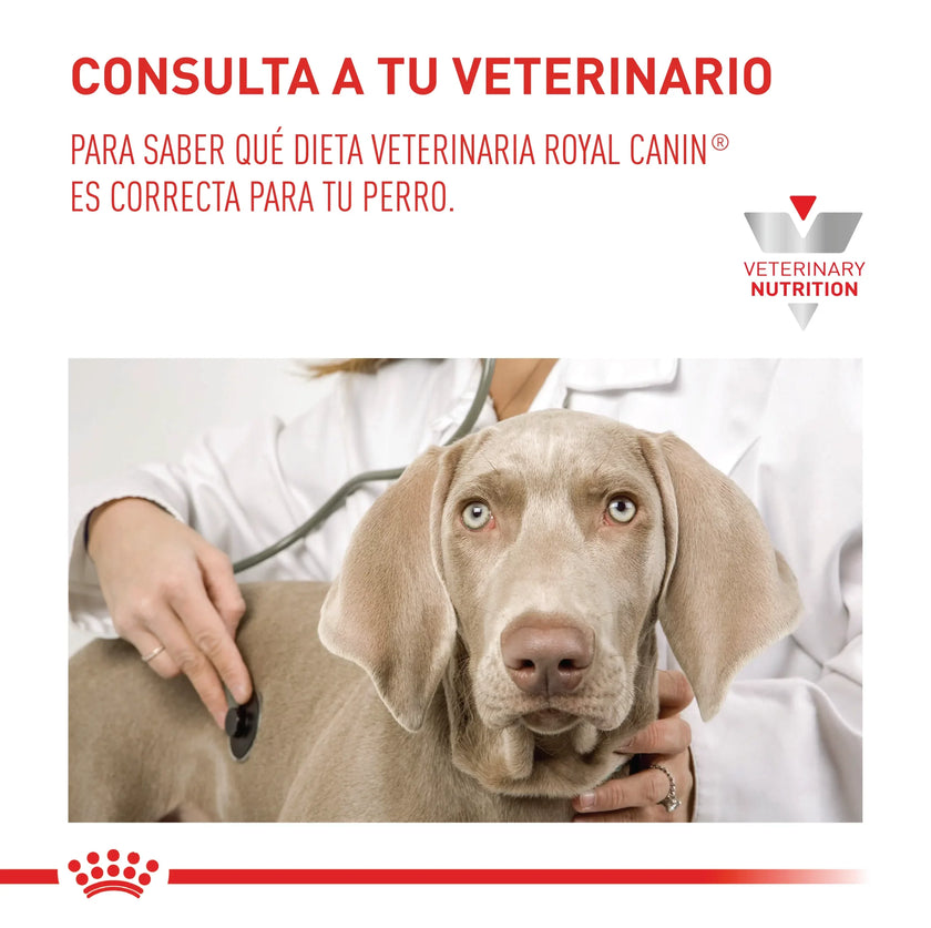 Alimento Royal Canin Vhn Gastrointestinal Canino