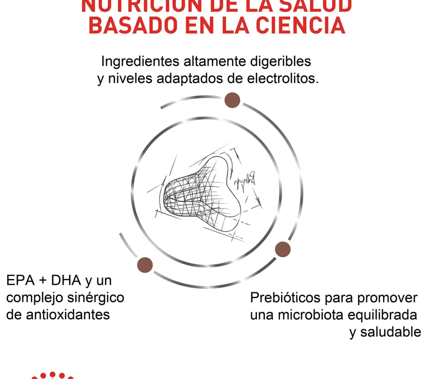 Alimento Royal Canin Vhn Gastrointestinal Fibre Response Felino 2Kg