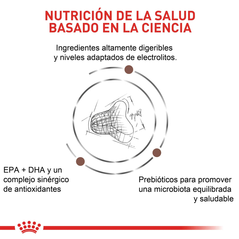 Alimento Royal Canin Vhn Gastrointestinal Fibre Response Felino 2Kg