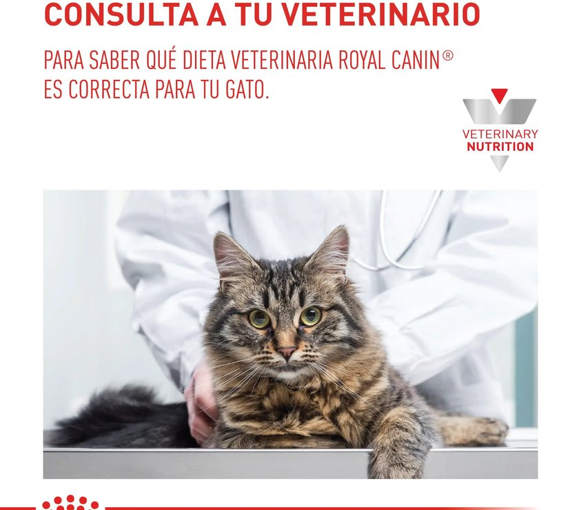 Alimento Royal Canin Vhn Gastrointestinal Fibre Response Felino 2Kg