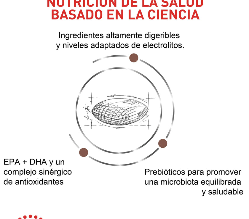 Alimento Royal Canin Vhn Gastrointestinal Low Fat Canino 8 Kg