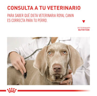 Alimento Royal Canin Vhn Gastrointestinal Low Fat Canino 8 Kg