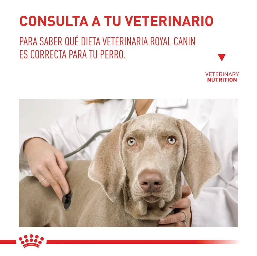 Alimento Royal Canin Vhn Gastrointestinal Low Fat Canino 8 Kg