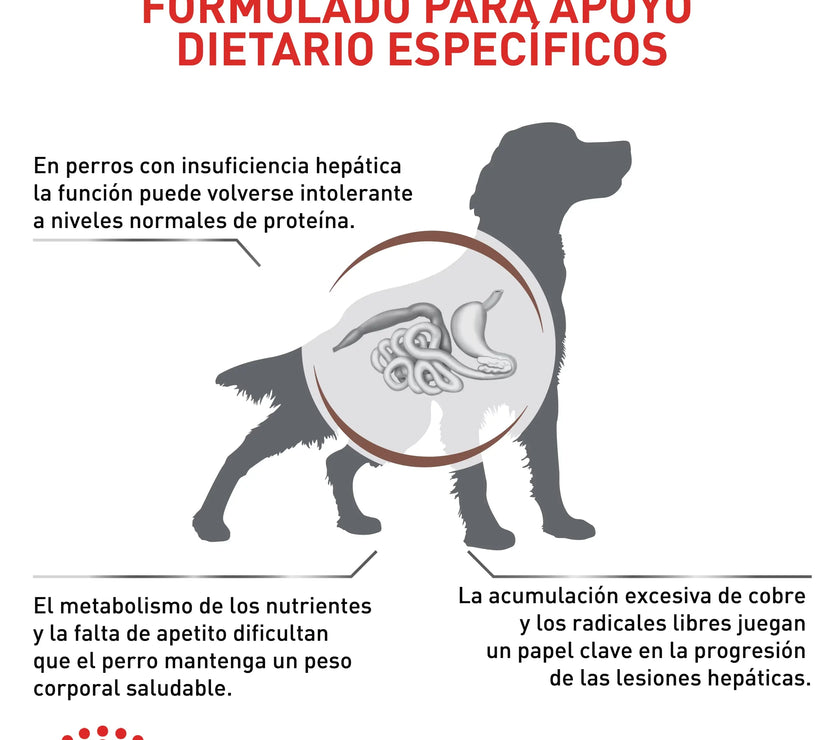 Alimento Royal Canin Vhn Hepatic Canino