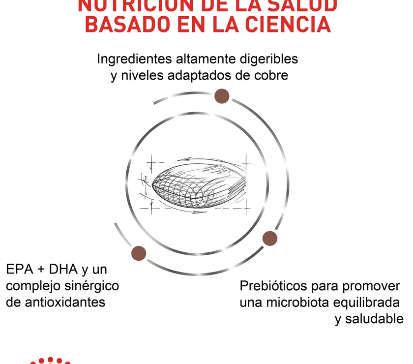 Alimento Royal Canin Vhn Hepatic Canino