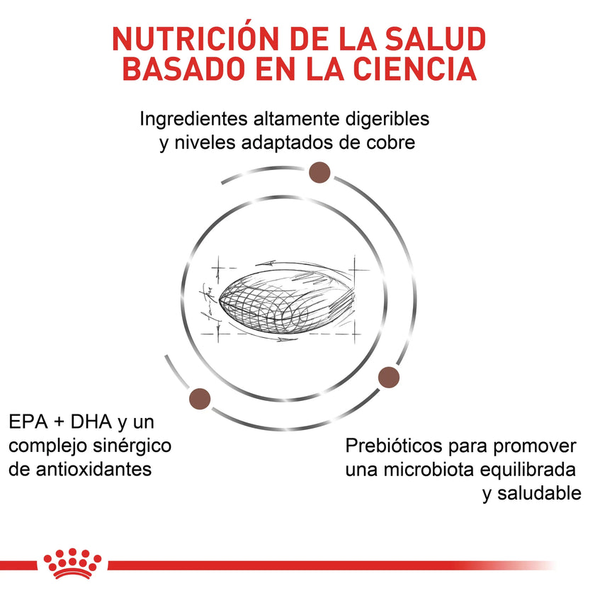 Alimento Royal Canin Vhn Hepatic Canino