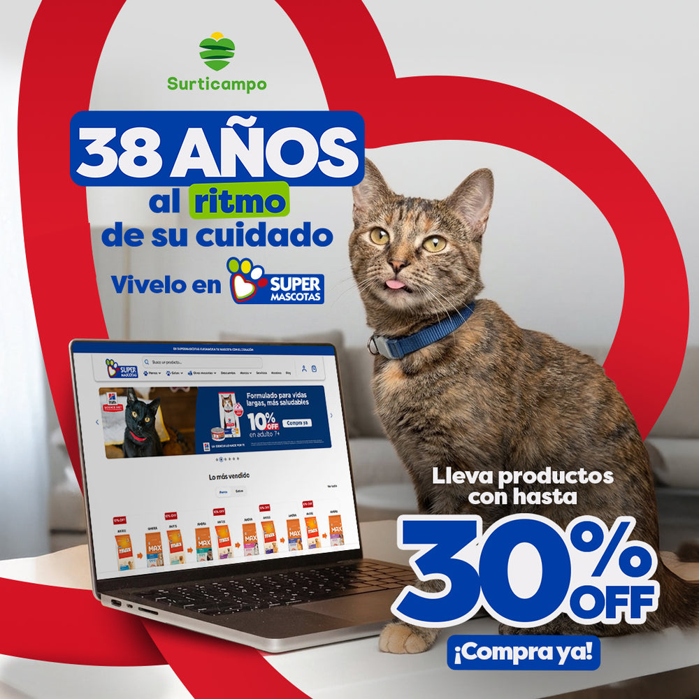 Max Cat
