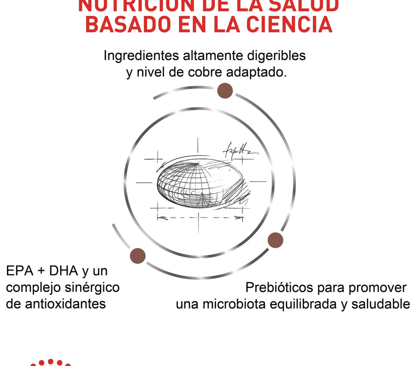 Alimento Royal Canin Vhn Hepatic Felino 2 Kg