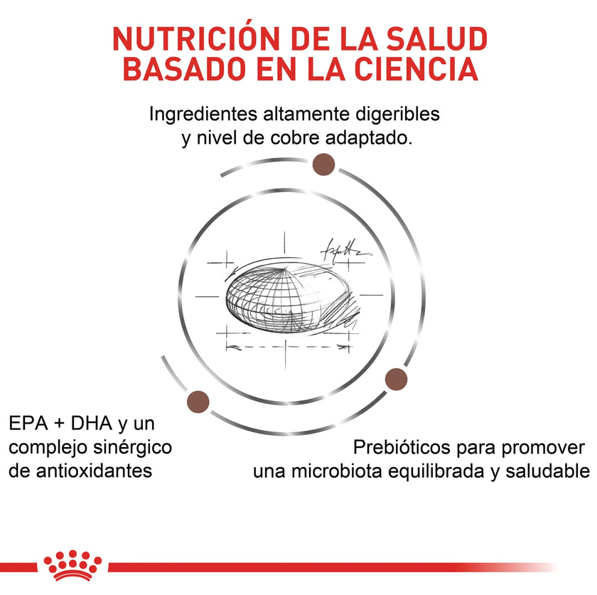 Alimento Royal Canin Vhn Hepatic Felino 2 Kg