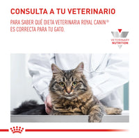 Alimento Royal Canin Vhn Hepatic Felino 2 Kg