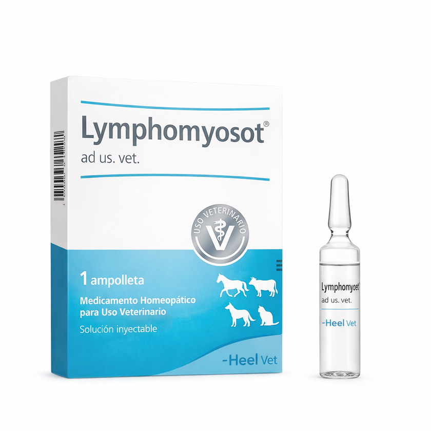 LYMPHOMYOSOT AD US VET AMPOLLA - Heel