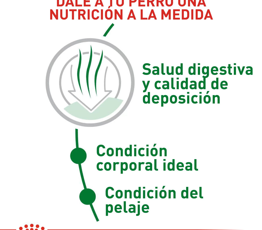 Alimento Royal Canin Shn Mini Indoor Adulto 1.5Kg