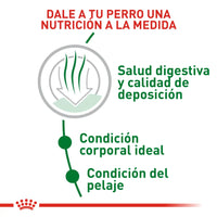 Alimento Royal Canin Shn Mini Indoor Adulto 1.5Kg