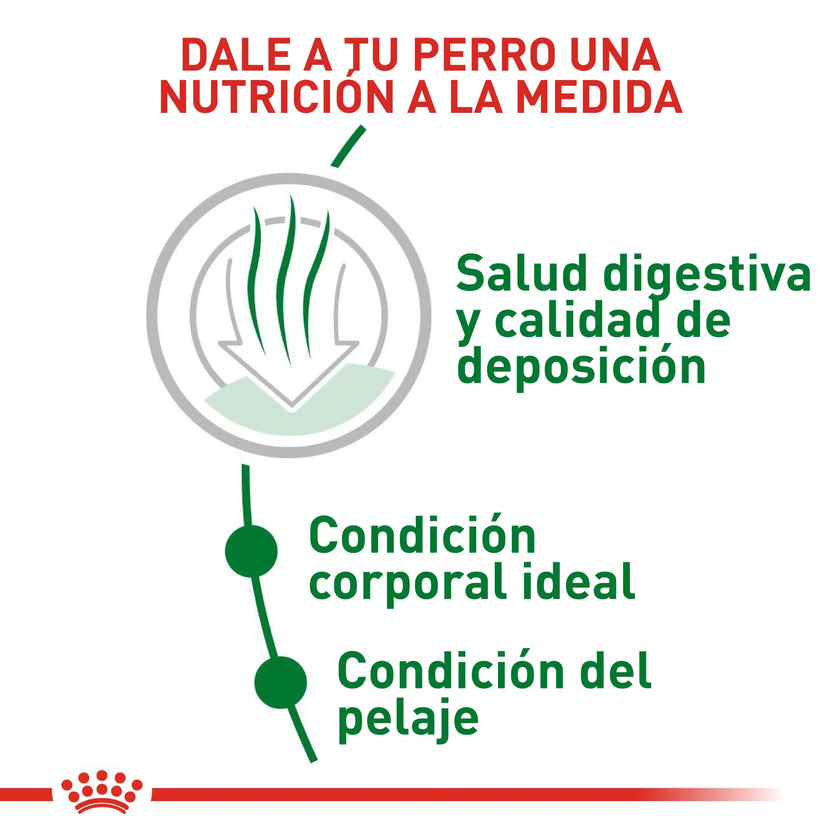 Alimento Royal Canin Shn Mini Indoor Adulto 1.5Kg