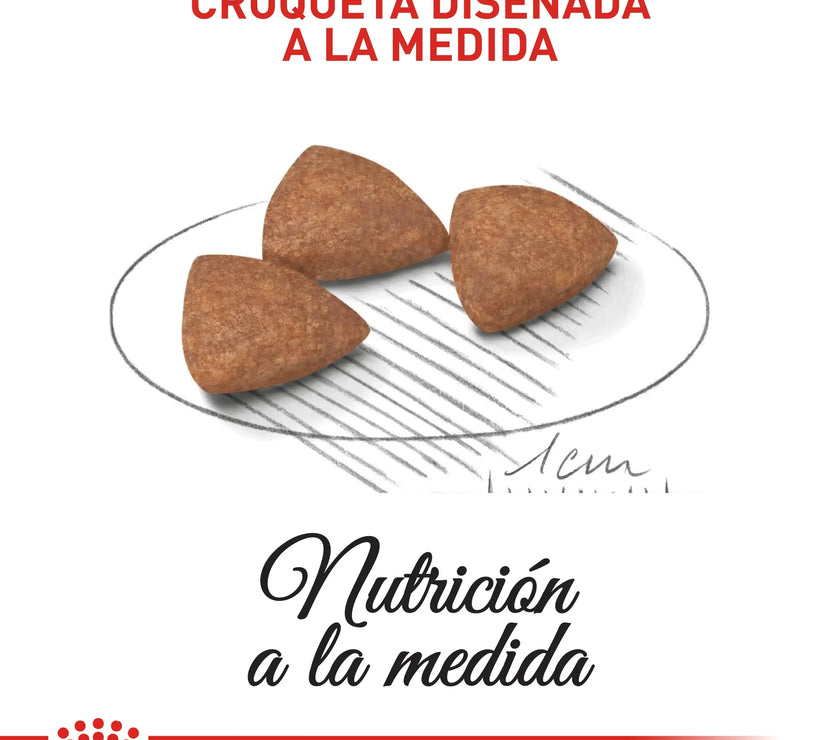 Alimento Royal Canin Shn Mini Indoor Adulto 1.5Kg