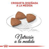 Alimento Royal Canin Shn Mini Indoor Adulto 1.5Kg