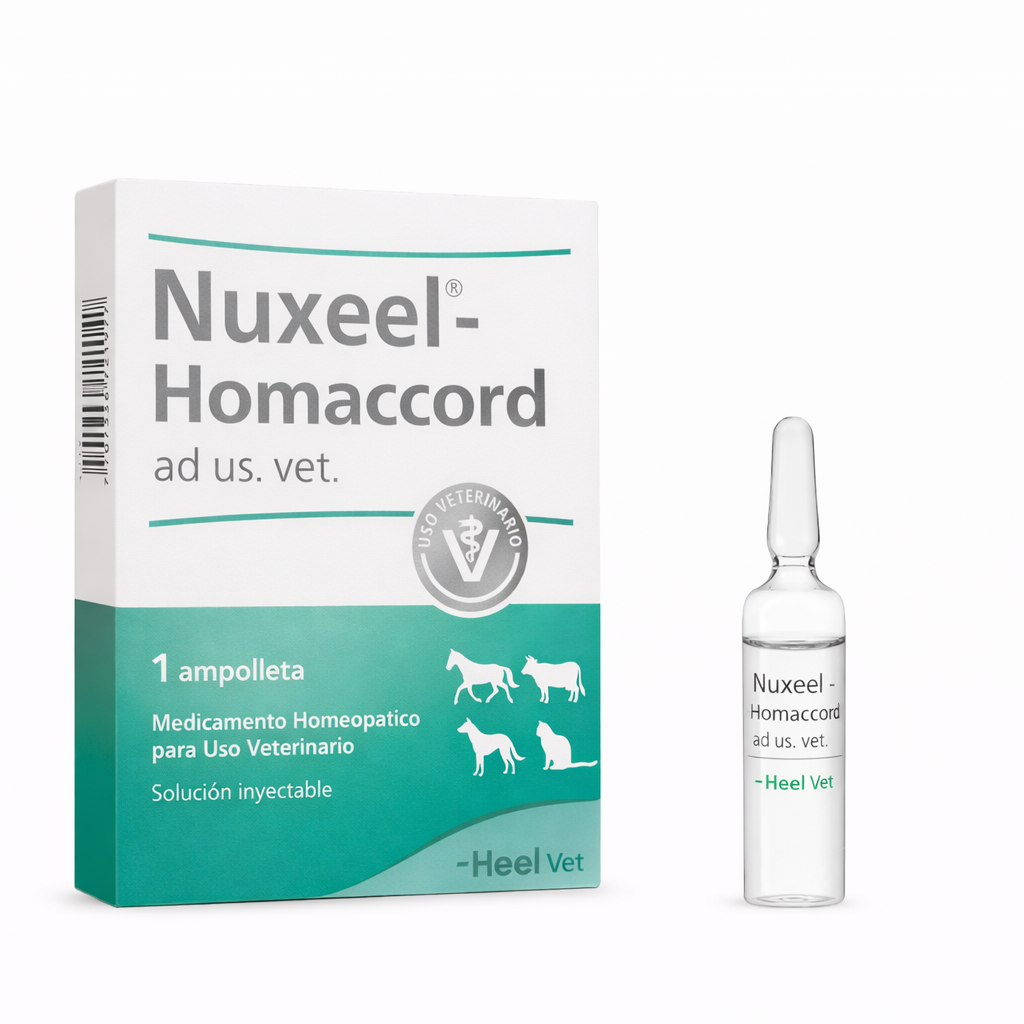 NUXEEL HOMACCORD AD US VET AMPOLLA - Heel