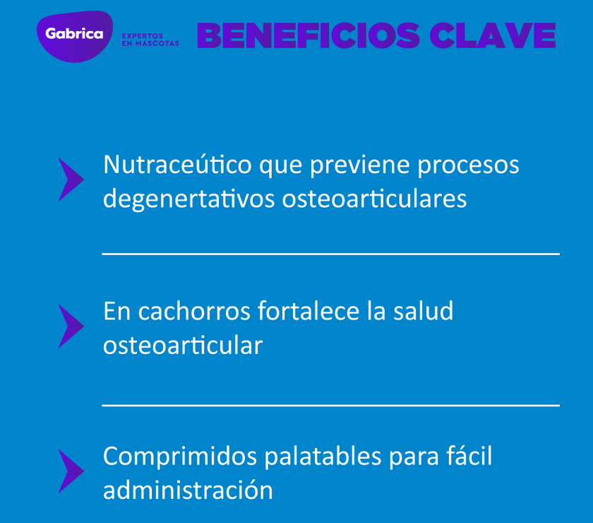 Ol Trans Flex Blister 70 Comprimidos