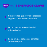 Ol Trans Flex Blister 70 Comprimidos