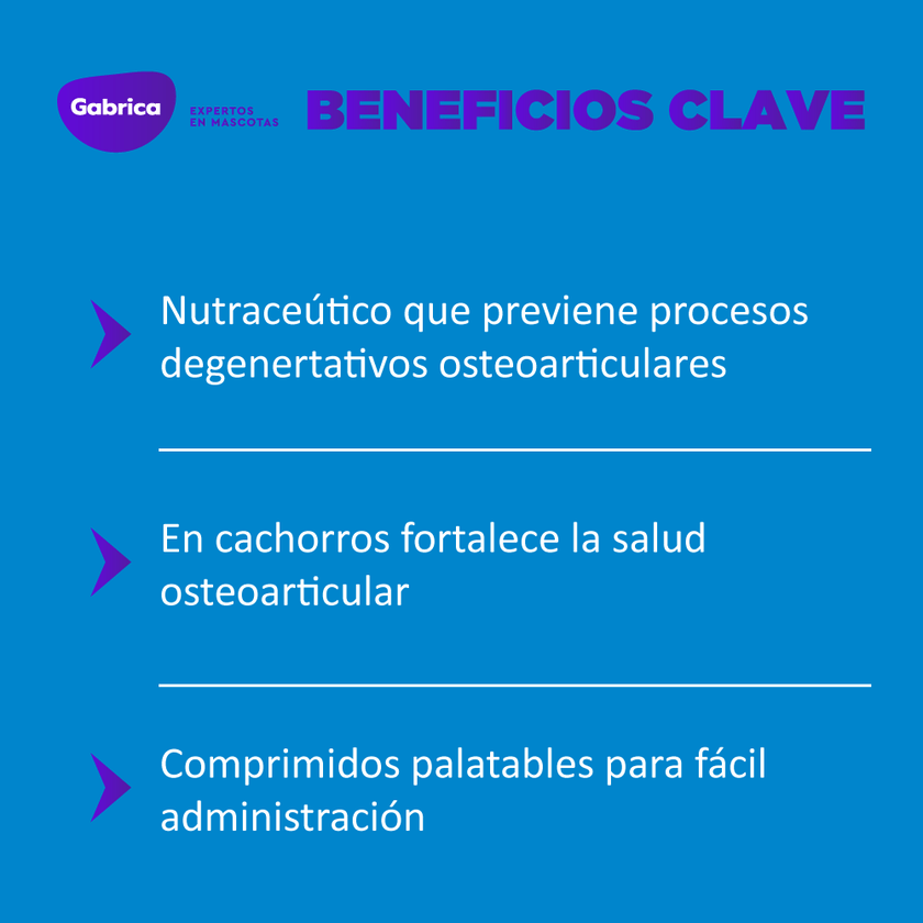 Ol Trans Flex Blister 70 Comprimidos