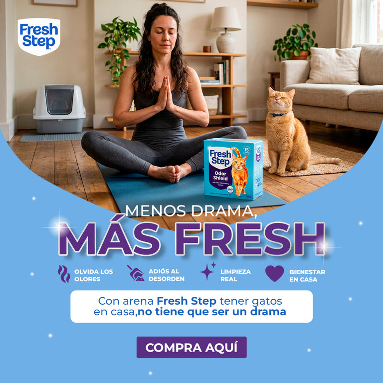 Max Cat