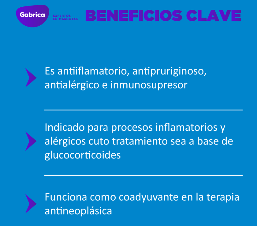 Prednisolona Antiinflamatorio 20 Tabletas