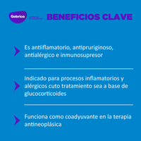 Prednisolona Antiinflamatorio 20 Tabletas