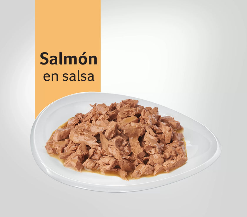 Alimento Humedo Para Gatos Sabor A Salmón  Purina Pro Plan x 85 Gr