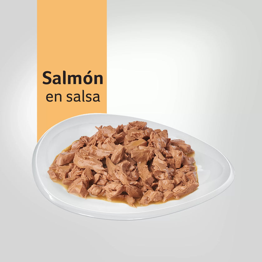 Alimento Humedo Para Gatos Sabor A Salmón  Purina Pro Plan x 85 Gr