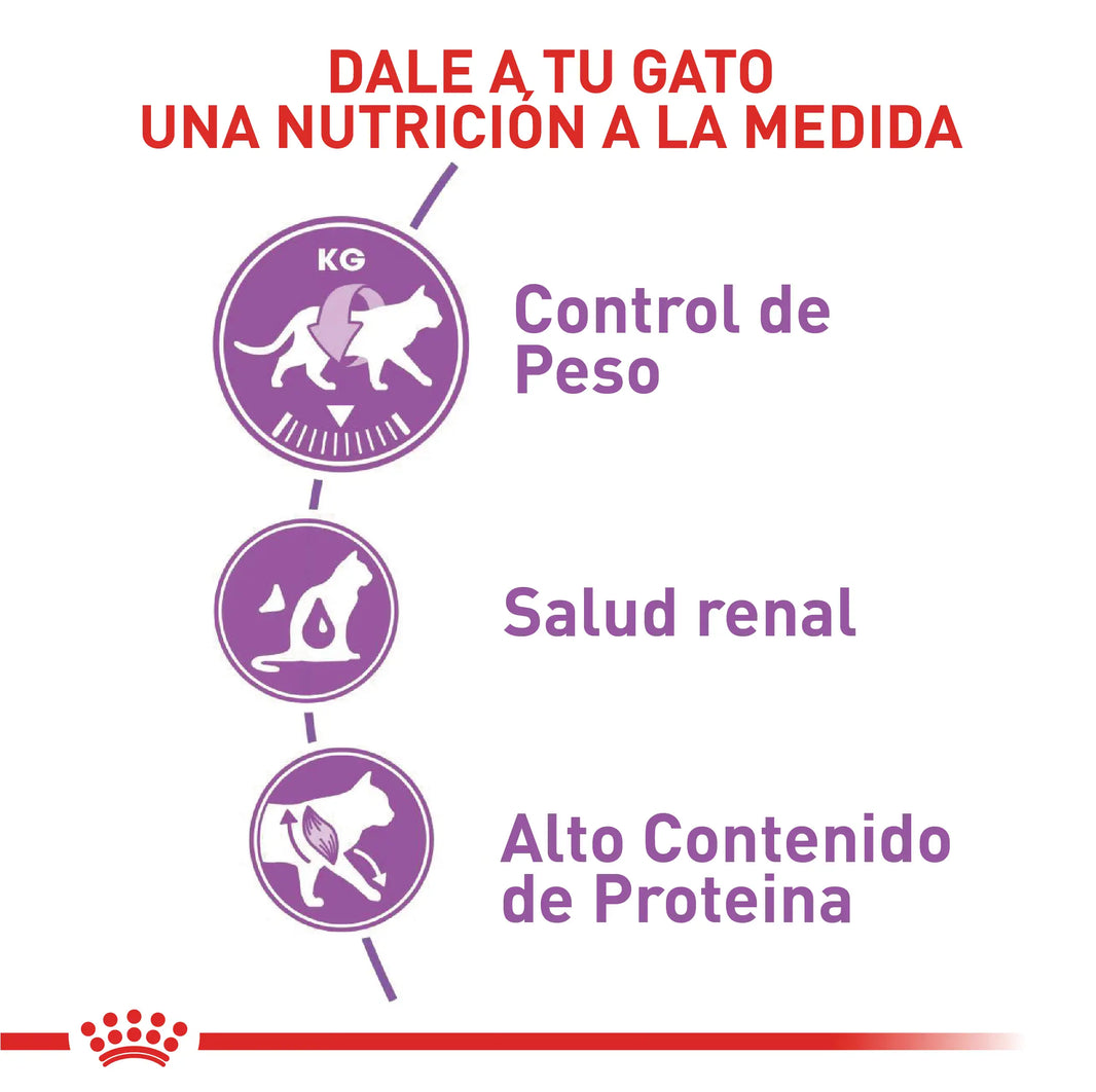 Alimento Royal Canin Fhn Regular Esterilizado 37 2Kg